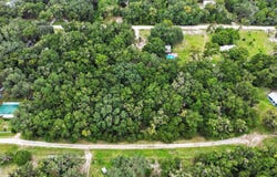 109 CHILTON Place, SATSUMA, FL 32189
