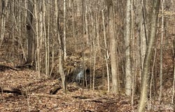99999 Chesterfield Drive, Mill Spring, NC 28756