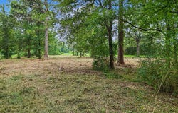 HAZELWOOD ST, Naples, TX 75568