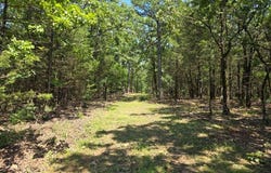 2 TBD Potts Mountain Road, Heavener, OK 74937