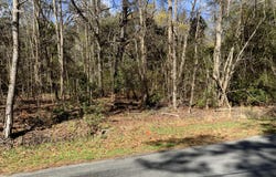 5037 Doctor Taylor Road, Adams Run, SC 29426