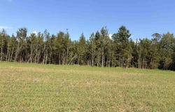 1420 Kelley Rd., Olanta, SC 29114