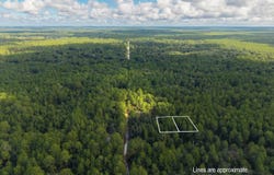 402 SIESTA Drive, Georgetown, FL 32139