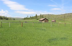 11246 Custer Limestone Road, Custer, SD 57730