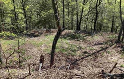 TBD Tract 8 Chaparral Lane, Mena, AR 71953