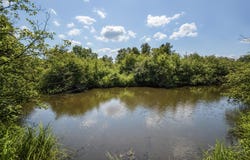 STATE HIGHWAY 17, Merrill, WI 54452