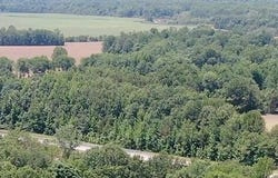 Hwy 145, Nettleton, MS 38858