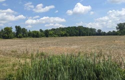 Romeo Plank Road, Armada, MI 48005