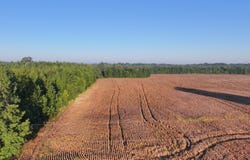 County Road 87, New Albany, MS 38652