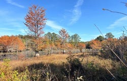 00 Griffin Rd, Shuqualak, MS 39361