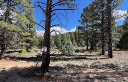 Elk Ridge Estates lot: # 12 Phase 6, Alton, UT 84710