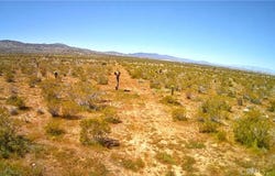 106 Street E, Pearblossom, CA 93543