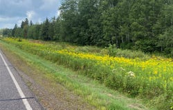 On County Highway E, Park Falls, WI 54552