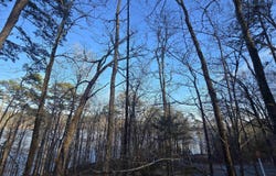 Lower Ridge Circle lot: 66, Edgemont, AR 72044