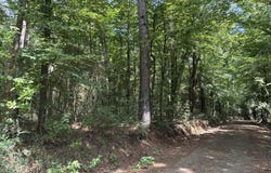 966 County Road 2603, Shelbyville, TX 75973