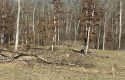 Kitchen Road, Leasburg, MO 65535