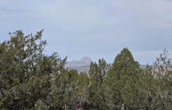245 Antelope Run Rd, Ash Fork, AZ 86320