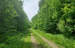 9 Private Road, WI-139, Argonne, WI 54511