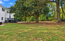 249 AILENE Dr, Collierville, TN 38017