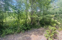 Mission Road, Hampton, AR 71744