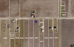 Dahlia CIR, Lyford, TX 78569