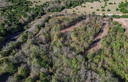 CR 643 lot: 10, Nevada, TX 75173