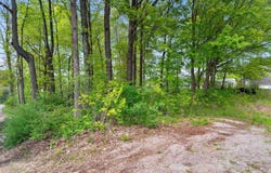 VANS Lane, CASCO, WI 54205