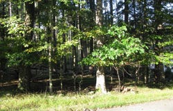 505 Magic Mountain Road, Henryville, PA 18332