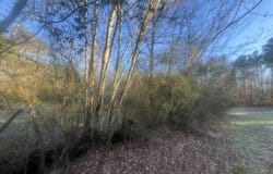 587 E Johnson Street, Temple, GA 30179