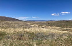 13 County Road 62X, Placerville, CO 81430