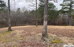 Catfish Drive, BUCHANAN, TN 38222