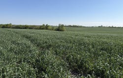 H Highway, Ford City, MO 64463