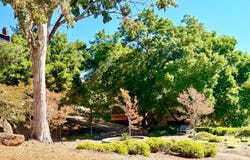 221 El Faisan Drive, San Rafael, CA 94903