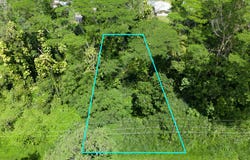 MOI ST, Pahoa, HI 96778