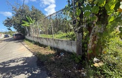 Canovanas, Canovanas, PR 00729