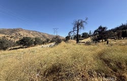7714 Caliente Bodfish Rd, Caliente, CA 93518