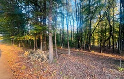 Tract 5 Sunset, Cabot, AR 72023