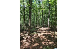 7218 COUNTY ROAD 26 lot: 10, WADLEY, AL 36276