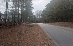 13 Saw Grass Road, Eagle Springs, NC 27242