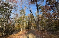 31078 OLD OFFICE RD LOT 1, LOCUST GROVE, VA 22508