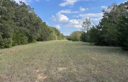 FM 833, Fairfield, TX 75840