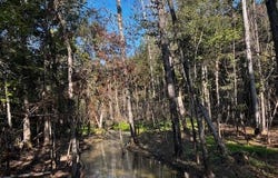 Highway 34, Chappells, SC 29037