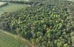 Coogle Road, Oglethorpe, GA 31068