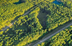 02 Hwy 13, Eldridge, AL 35554