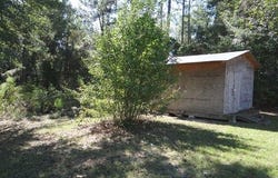 459 Lee Road 2087, Salem, AL 36874