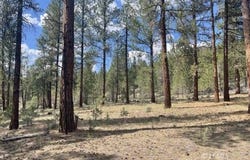 Tableland Rd, Chiloquin, OR 97624
