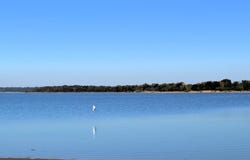 1540 Shoreline Dr, Kemp, TX 75143