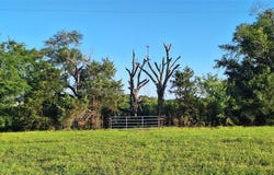 18155 Wellmann Rd, Washington, TX 77880
