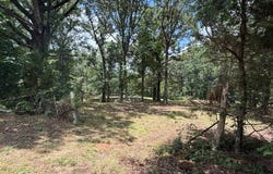 McBride Cemetery Road, Sardis, TN 38371