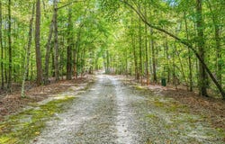 401 Rackley Mill Road, Easley, SC 29642